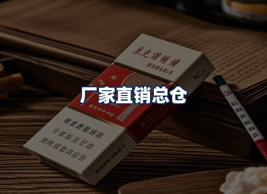 专业团队办公环境
